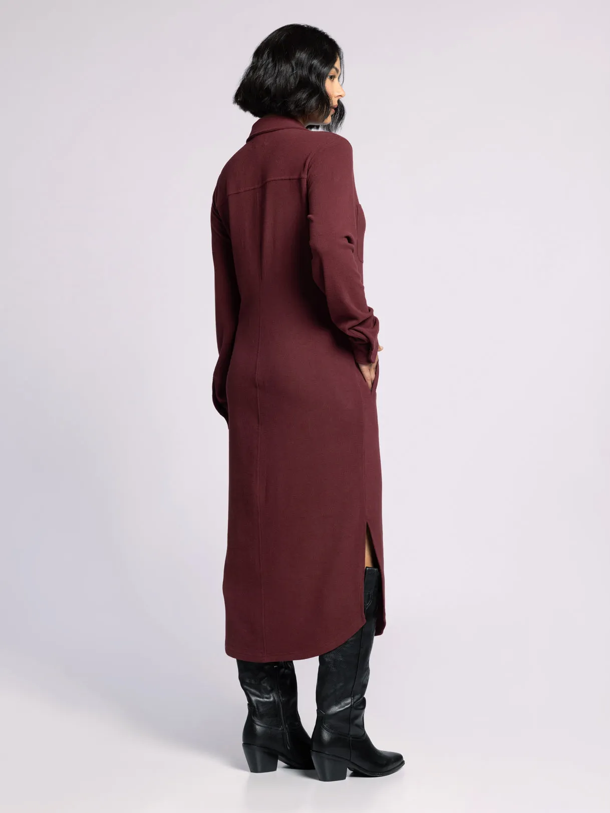Dalia Button Down Dress