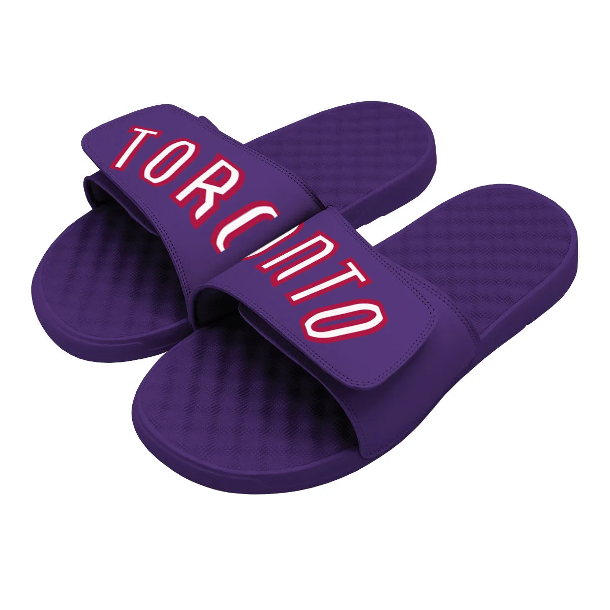 Toronto Raptors Century Wordmark Slides